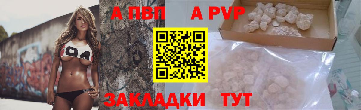 Альфа ПВП крисы CK Гатчина