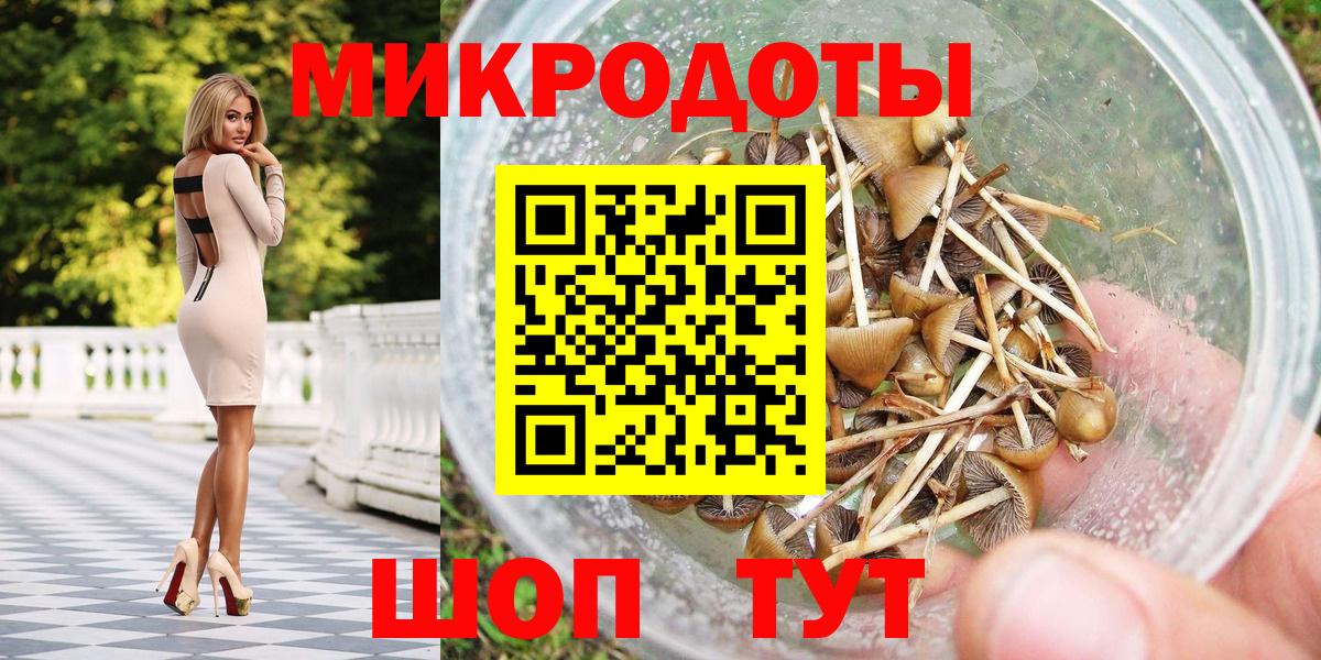 Гатчина  Галлюциногенные грибы ЛСД  Вход с VPN 