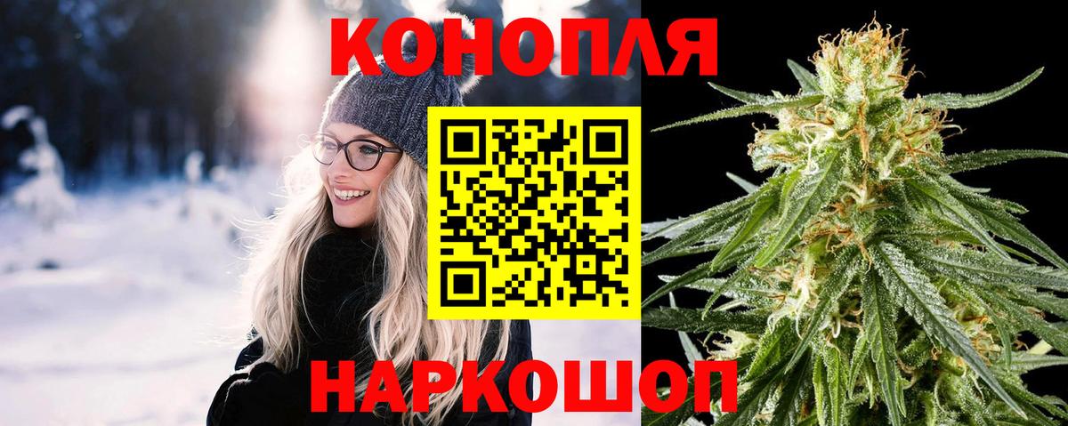 МАРИХУАНА сатива Гатчина